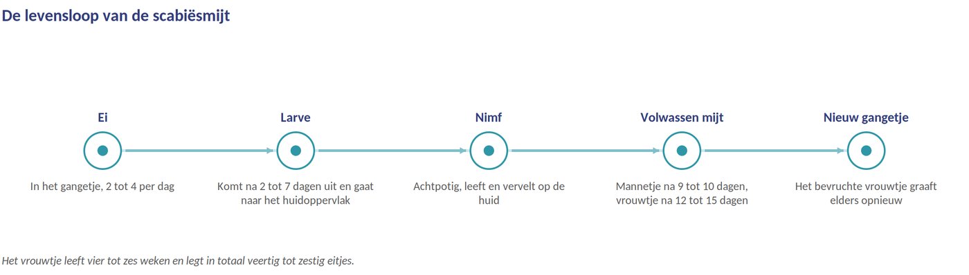 De levensloop van de mijt